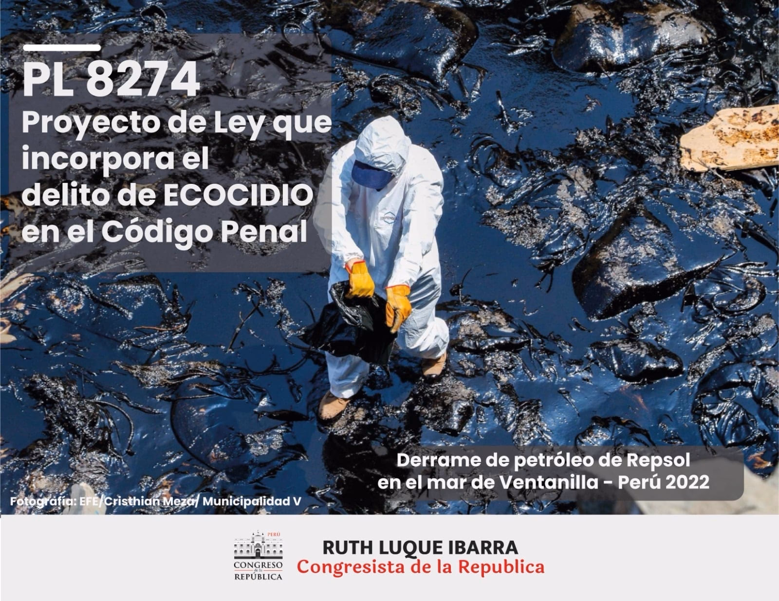 ¿Qué pasa si se juzga el ecocidio como delito penal?