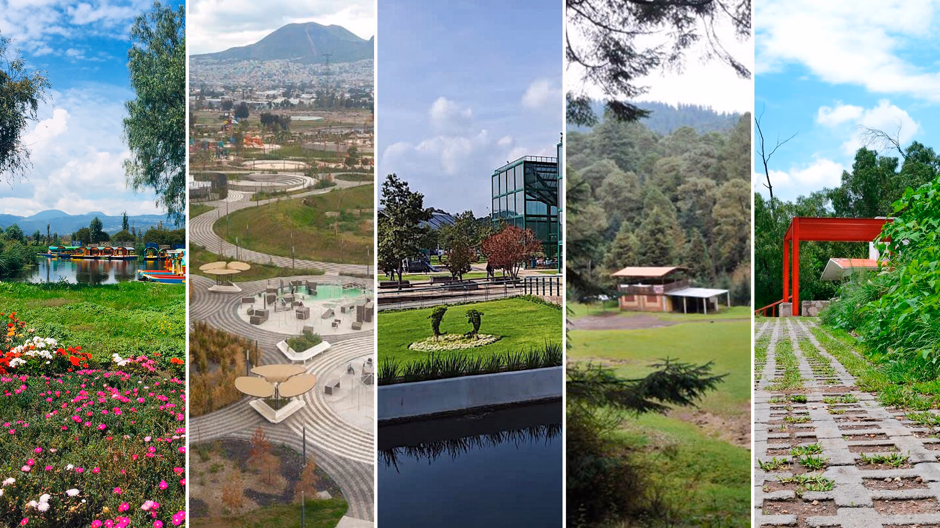 ¿Cuáles son los delitos ambientales graves?