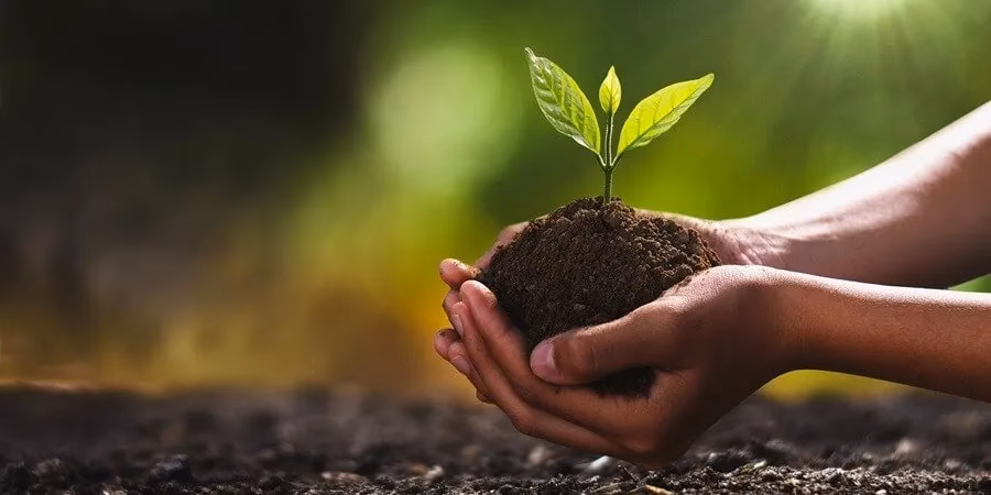 ¿Cuáles son los delitos contra el medio ambiente?