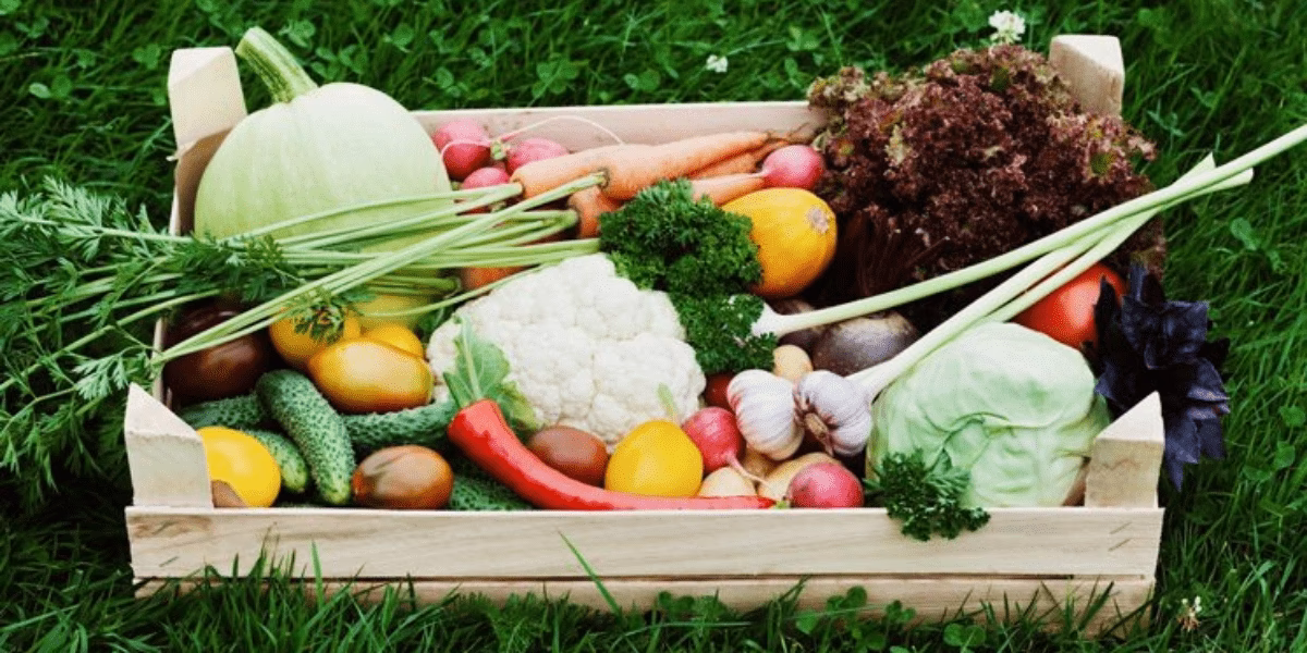 ¿Cuáles son los productos que se demandan en el Perú?