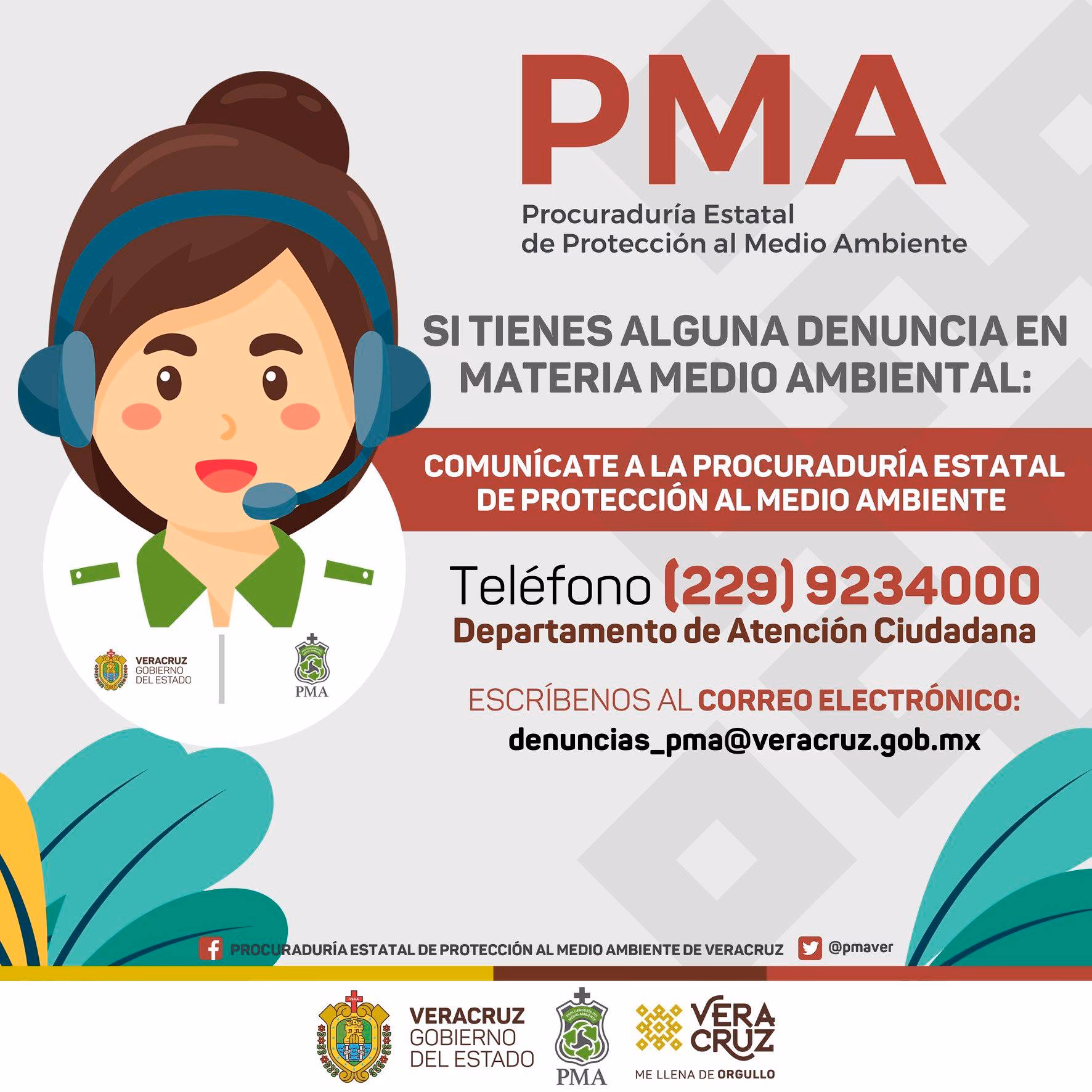 ¿Cómo denunciar un maltrato animal?