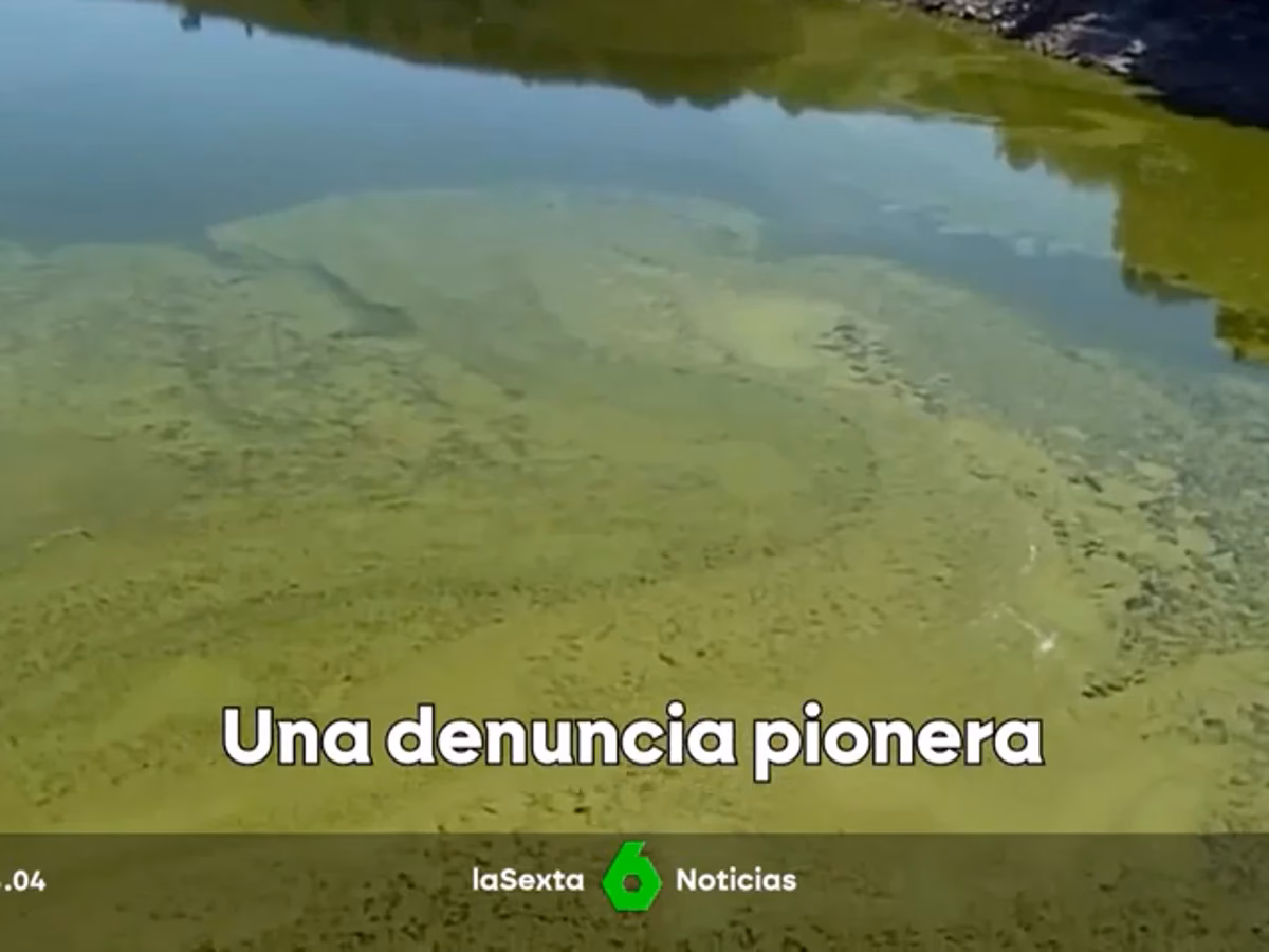 ¿Cómo hacer una denuncia medioambiental?