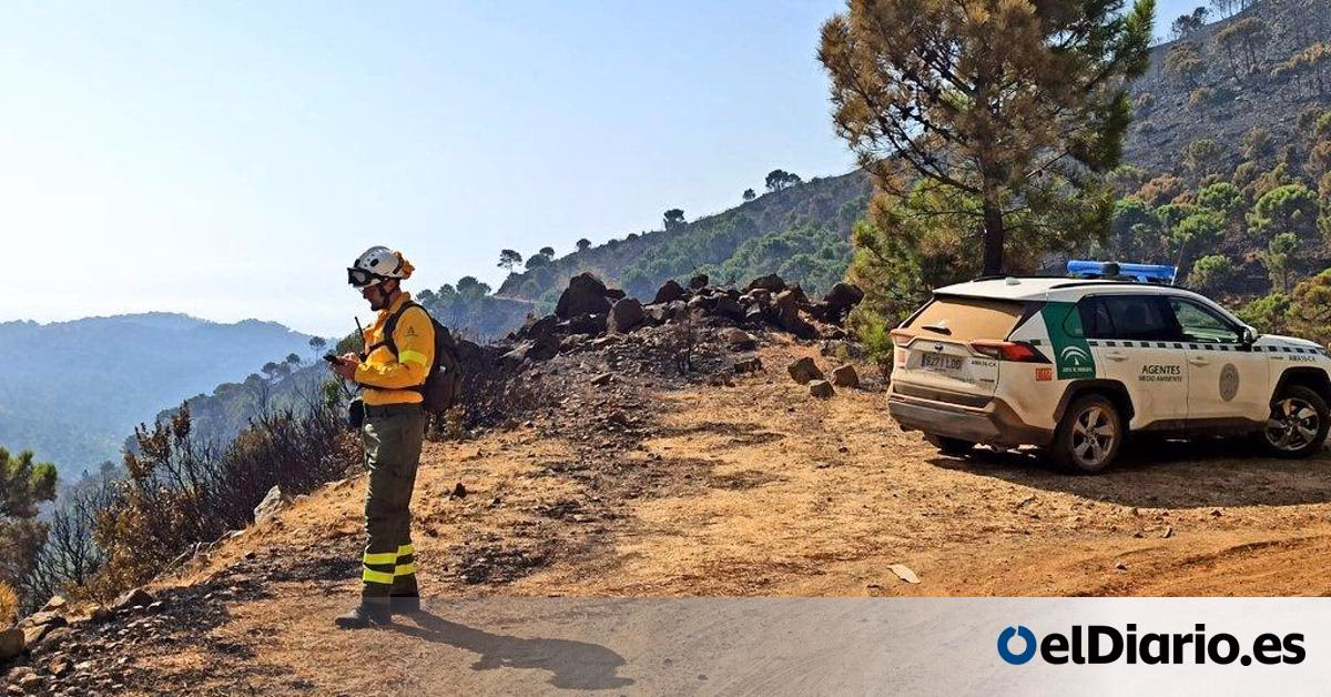 ¿Cómo solicitar cita previa en la Junta de Andalucía?