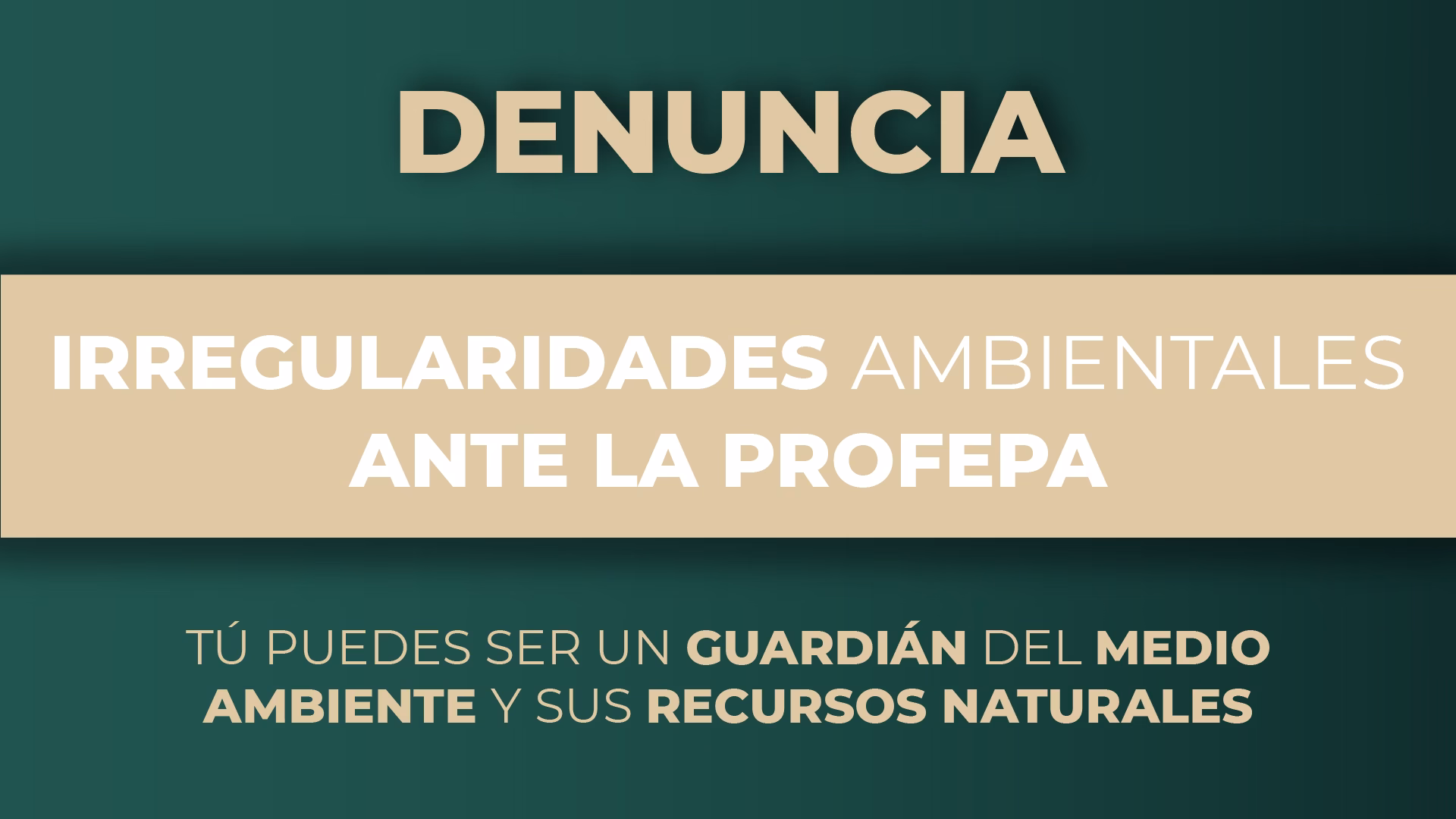 ¿Quién debe denunciar a quién por algún medio Contamina nuestro medio ambiente?