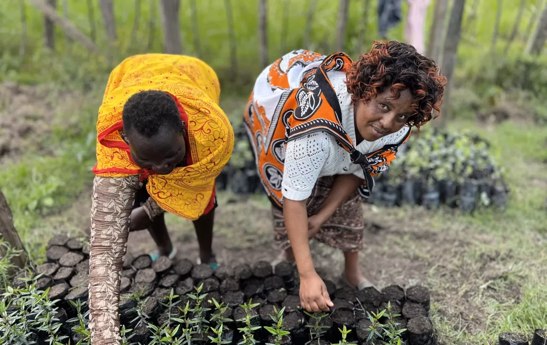 ¿Qué es el departamento de Desarrollo Rural y medio ambiente?