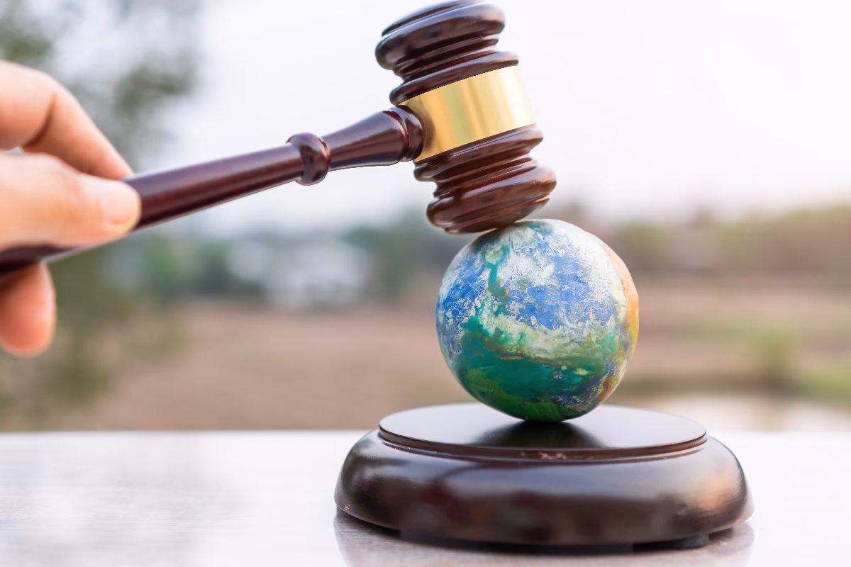 ¿Cuáles son los principios del derecho ambiental?