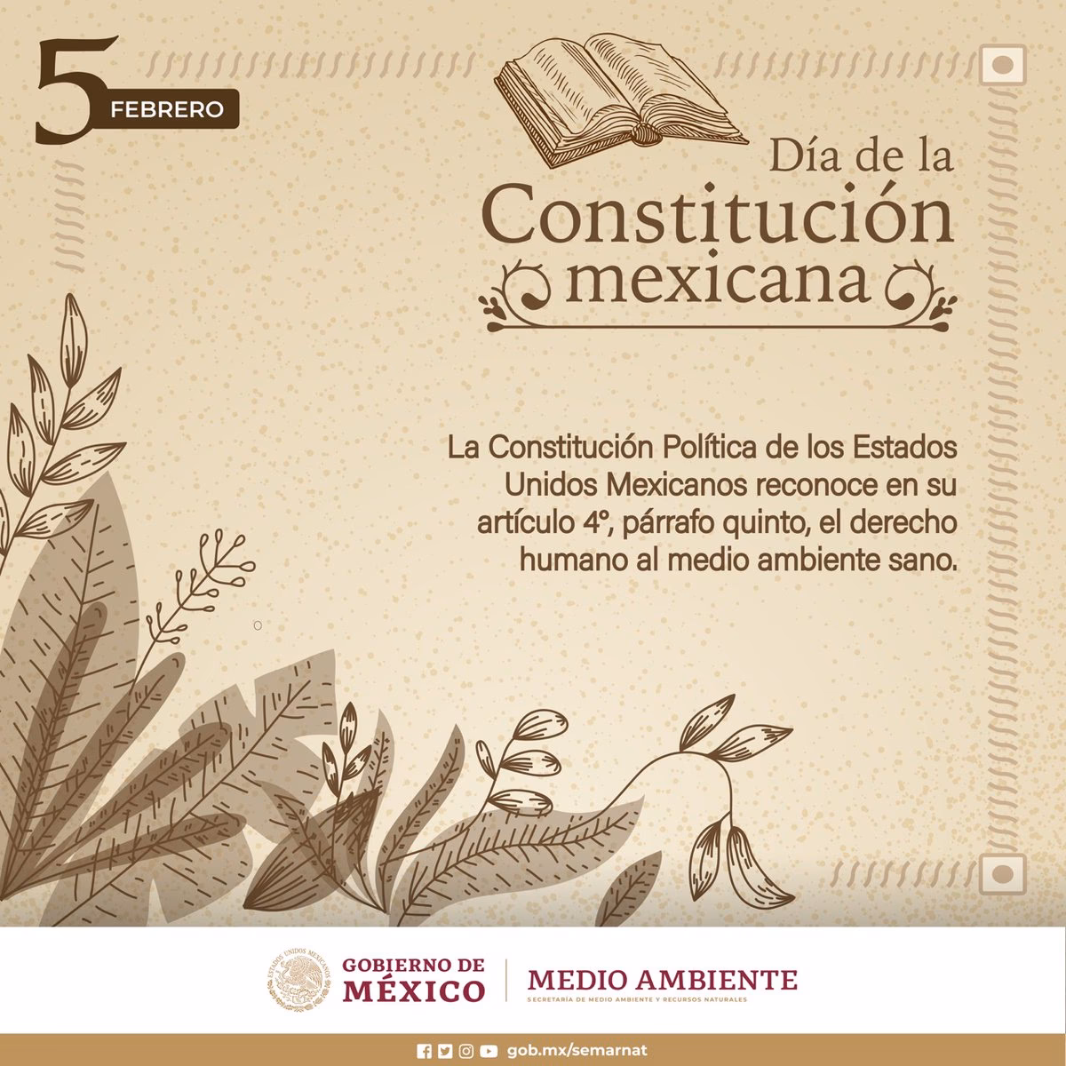 ¿Qué es el derecho a un medio ambiente sano?