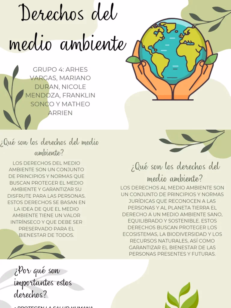 ¿Qué es el derecho a un medio ambiente sano?