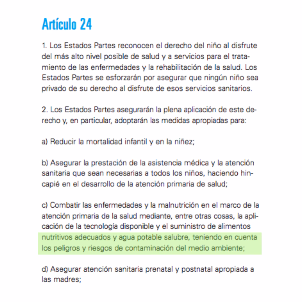 ¿Cómo garantizar los derechos del niño?