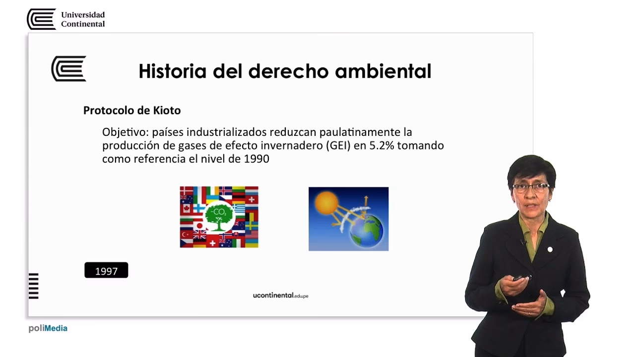 ¿Cuáles son las etapas del derecho ambiental internacional?