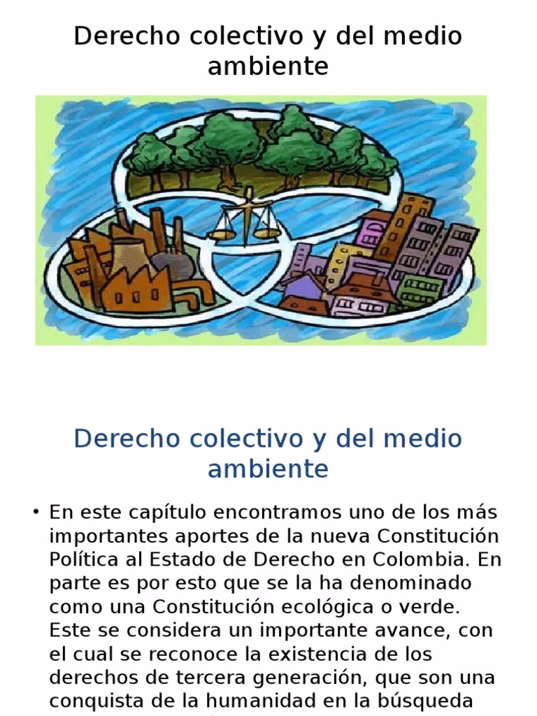 ¿Cómo afecta el medio ambiente a los derechos humanos?