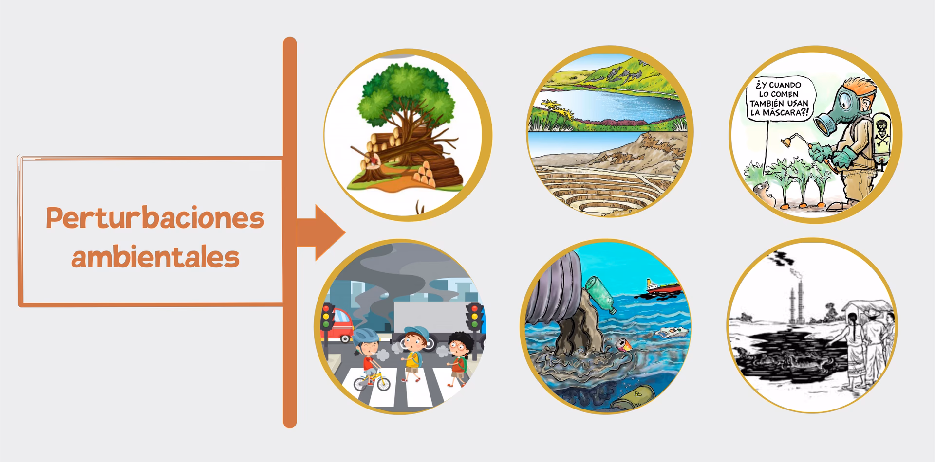 ¿Qué es el derecho a un medio ambiente sin riesgos?