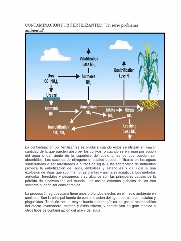 ¿Qué es un compuesto organofosforado?
