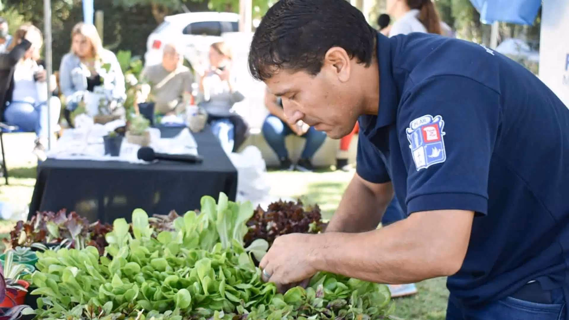 ¿Qué trámites y servicios ofrece Derqui?