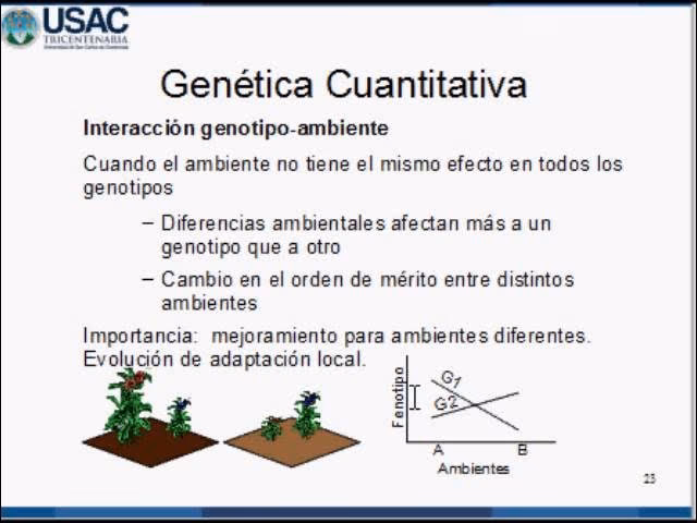 ¿Cómo responde cada genotipo a la variación ambiental?