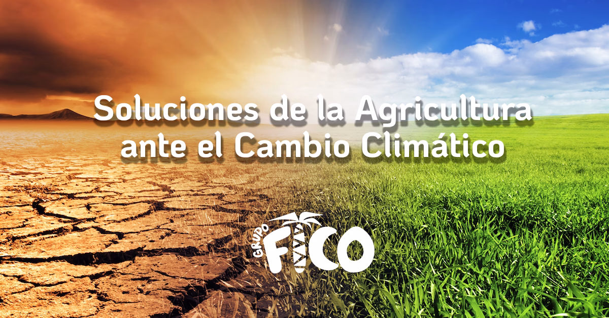 ¿Cómo afecta el cambio climático a la agricultura?
