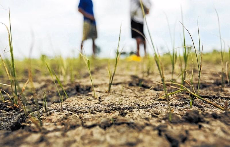 ¿Cómo reducir los efectos del cambio climático?