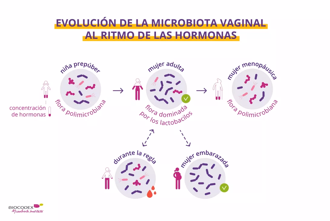 ¿Qué es flora mixta?