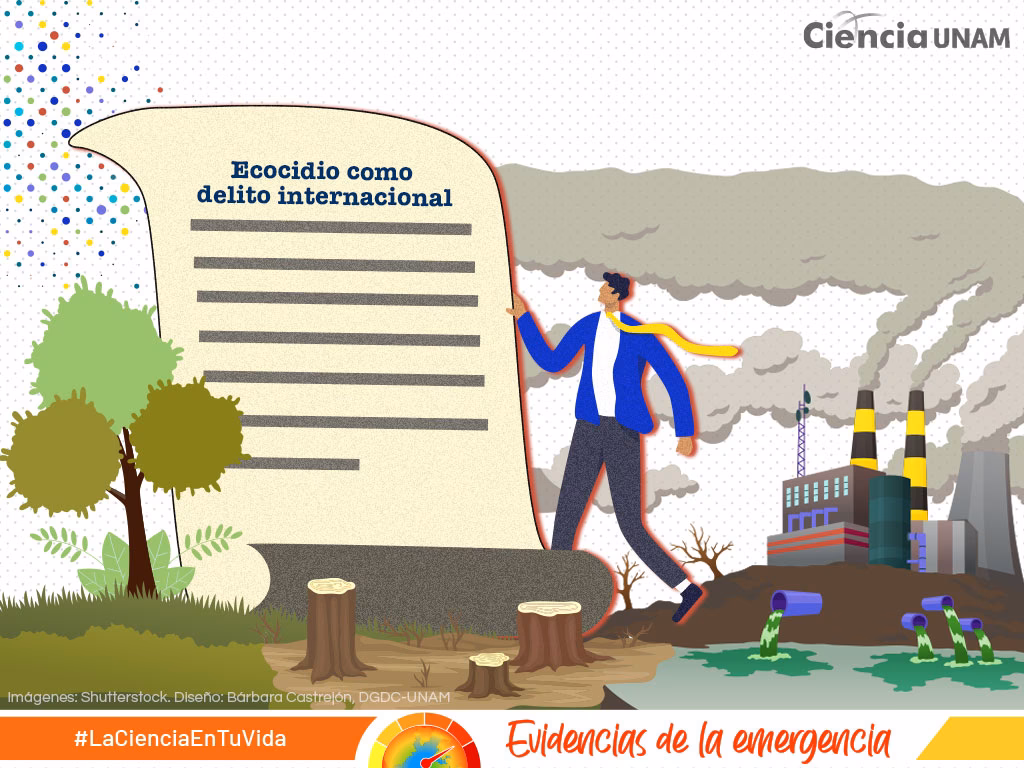 ¿Cuál es el origen del ecocidio?