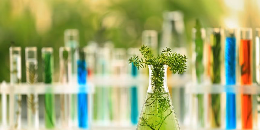 ¿Cuál es el futuro de la química verde?