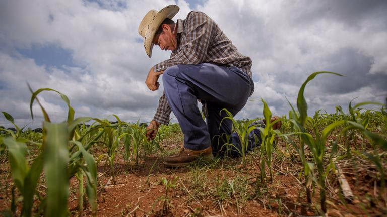 ¿Qué es el Desarrollo Rural Sostenible?