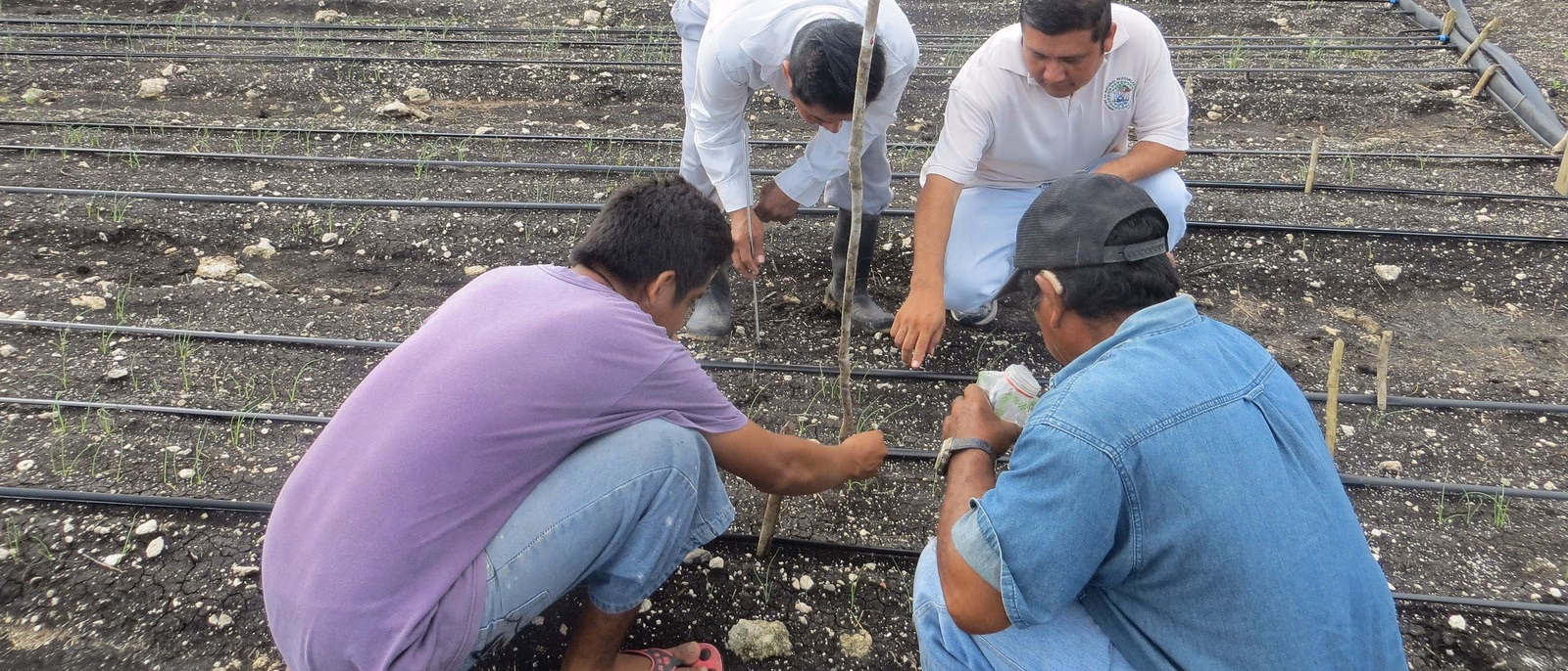 ¿Cuál es el compromiso de Belice con el comercio sostenible?