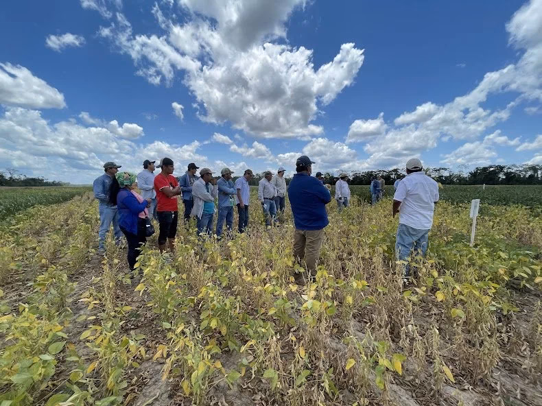 ¿Cuál es el Plus sustentable para el próximo ciclo de soja?