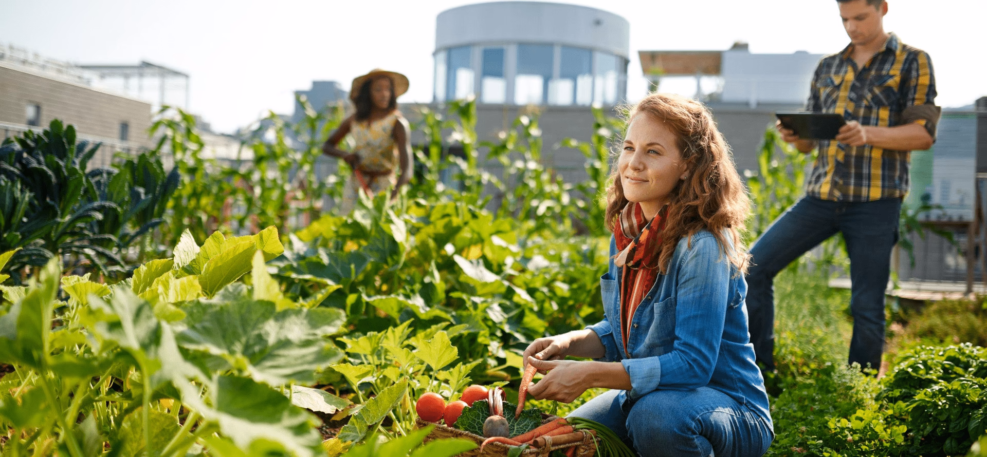 ¿Cómo aplicar el desarrollo sustentable en tu comunidad?
