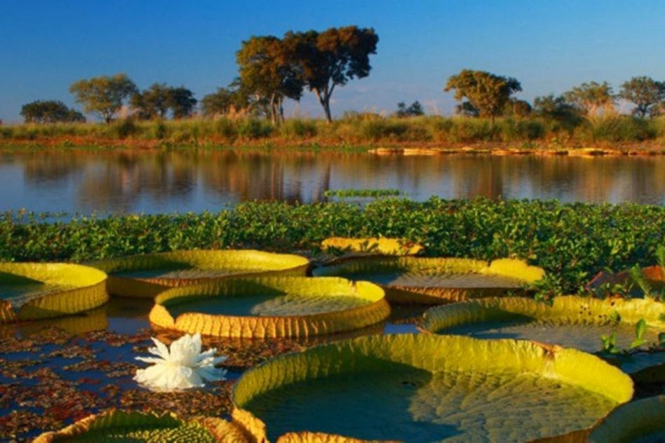 ¿Cuáles son los objetivos de la provincia de Entre Ríos?