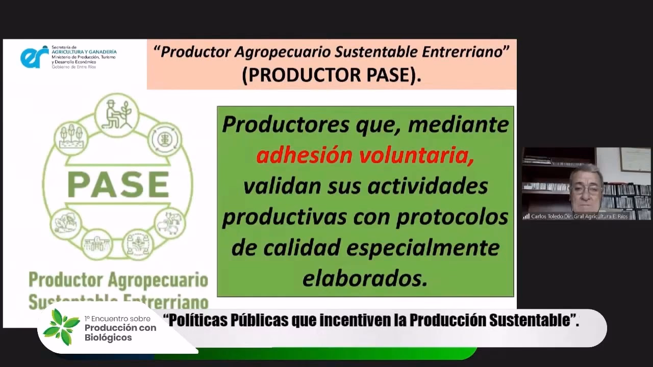 ¿Qué es el desarrollo sustentable en Rincón?