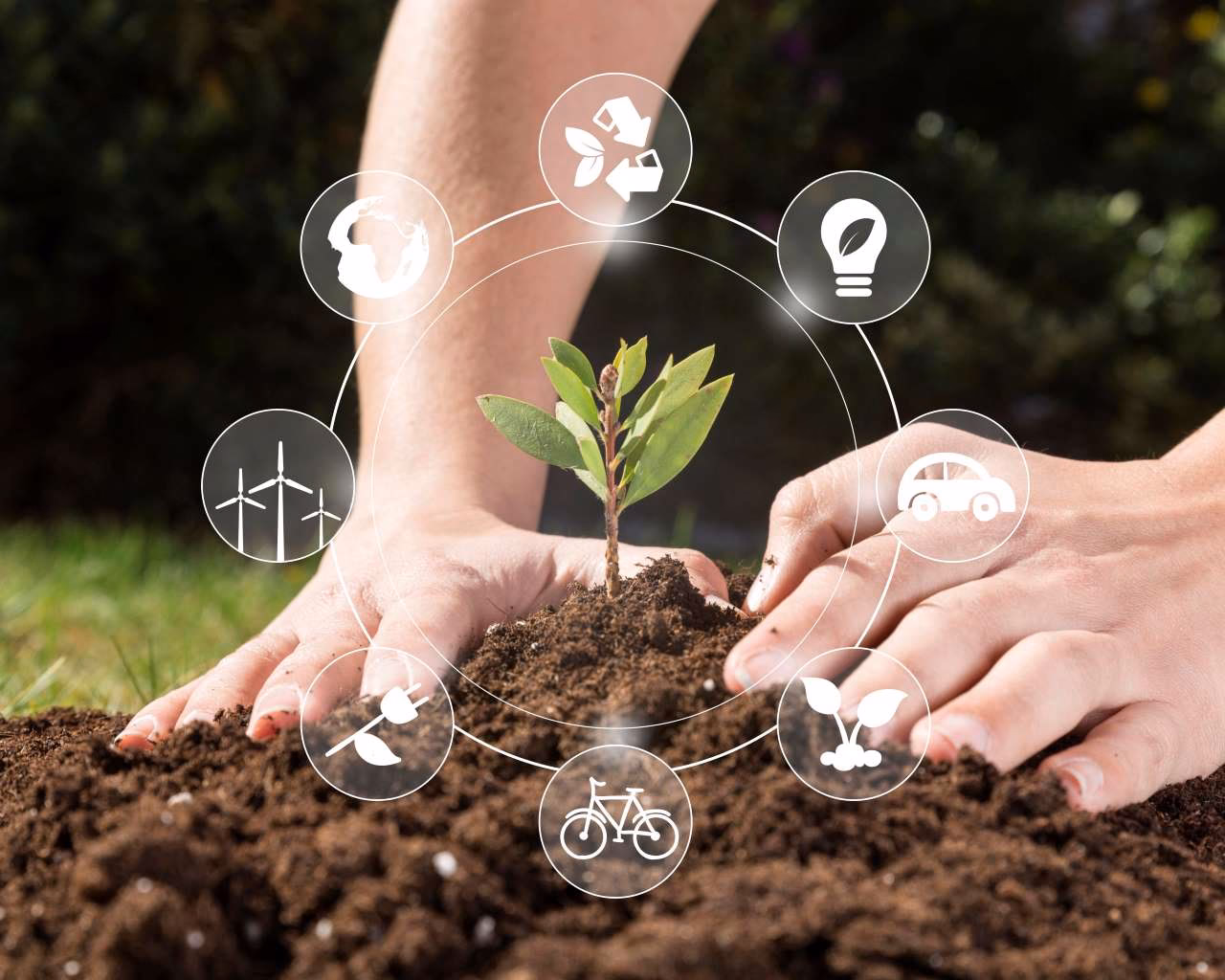 ¿Cuáles son los criterios de sustentabilidad en la agricultura?