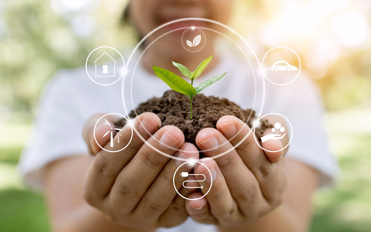 ¿Cómo apoyar al desarrollo sustentable?