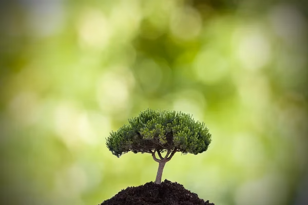 ¿Cuál es la mejor distro para cambiar fondos de pantalla?