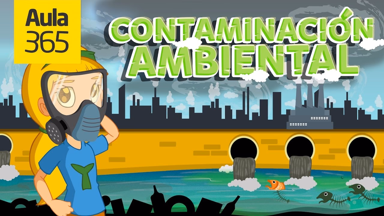 ¿Cuáles son los efectos de la contaminación del Medio Ambiente?