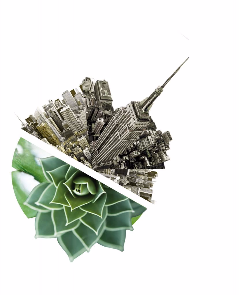 ¿Cuál es la relación entre ética y Desarrollo Sostenible?