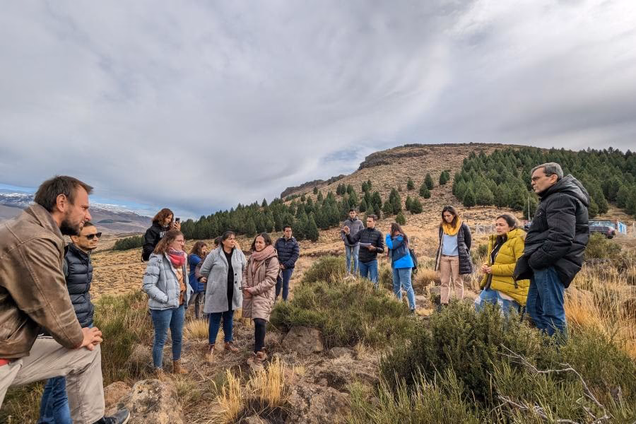 ¿Cuáles son las dimensiones del desarrollo sustentable?