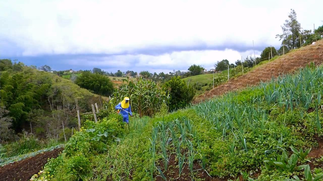 ¿Qué es el desarrollo sostenible?