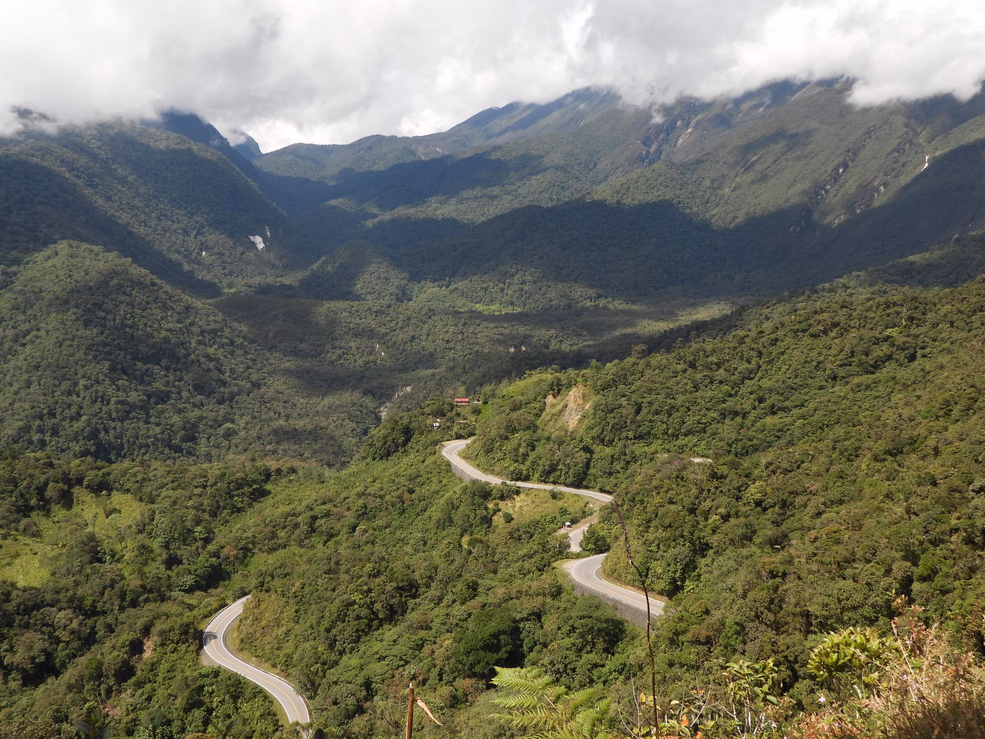 ¿Cómo contribuyen las ANP al bienestar y salud de la población?