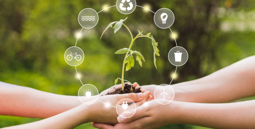 ¿Qué es la crisis del Medio Ambiente y del desarrollo?