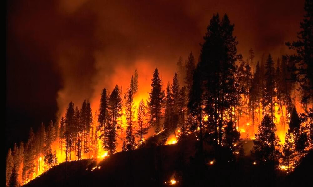 ¿Cuántos desastres hay en el mundo?