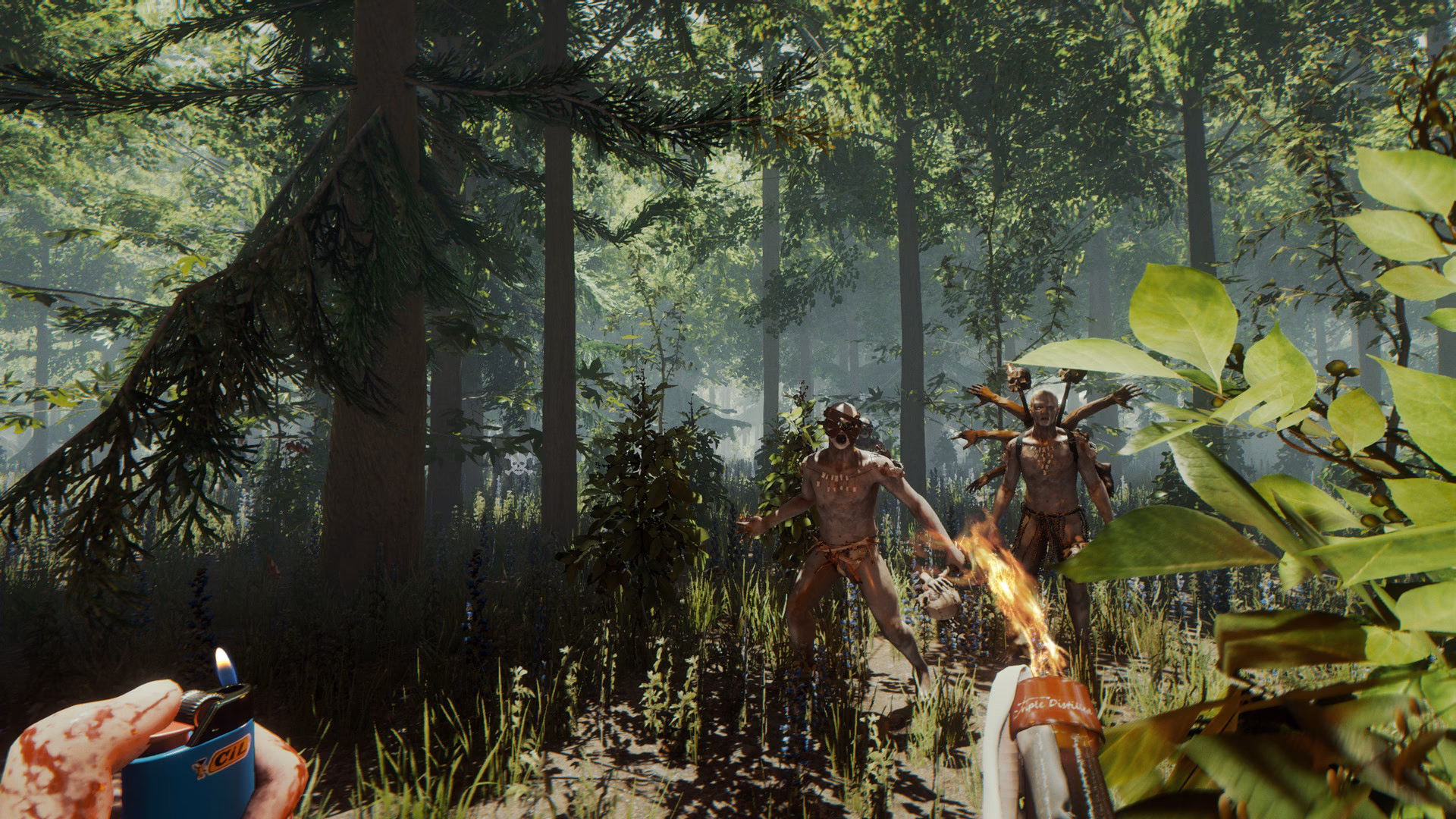 ¿Qué ofrece The Forest para Windows?
