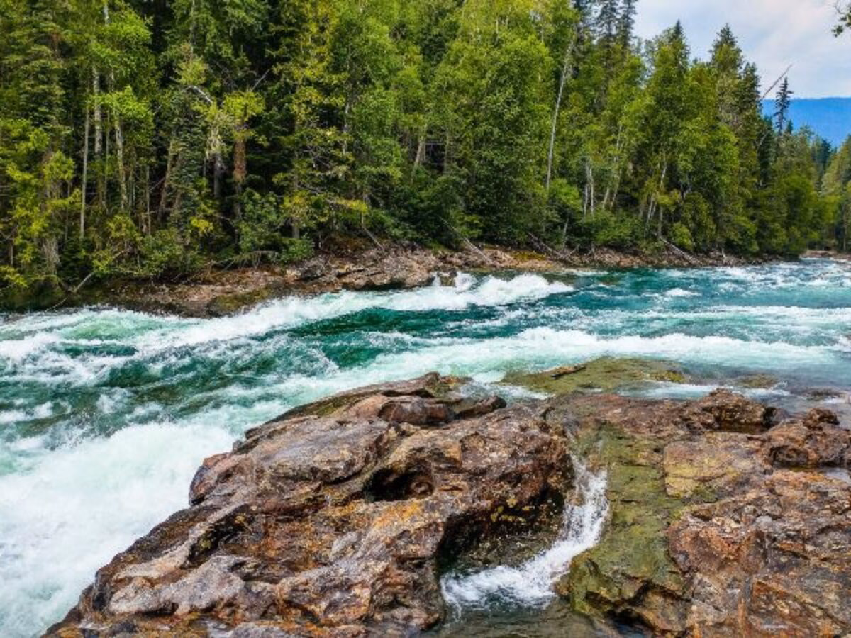 ¿Por qué es importante entender el medio ambiente?