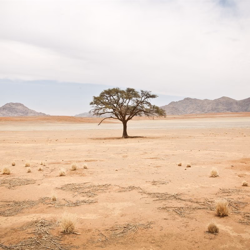 ¿Cuál es el desierto más grande del mundo?