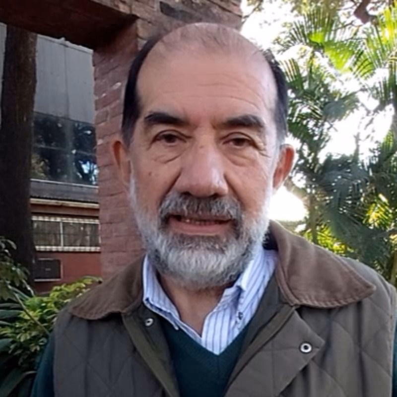 ¿Quién es el director de medio ambiente de Villa Elisa?