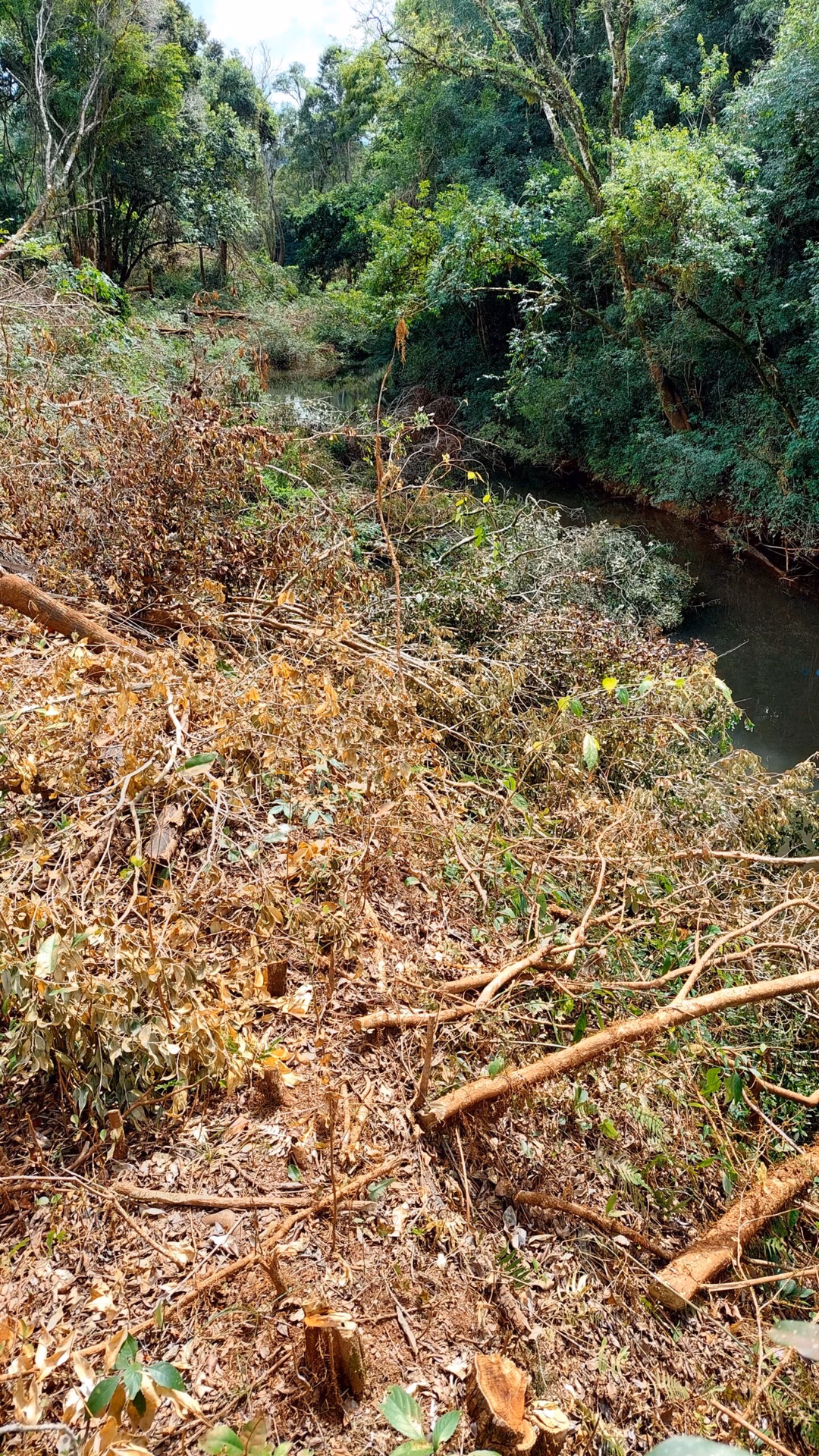 ¿Por qué no debemos arrojar desmontes?