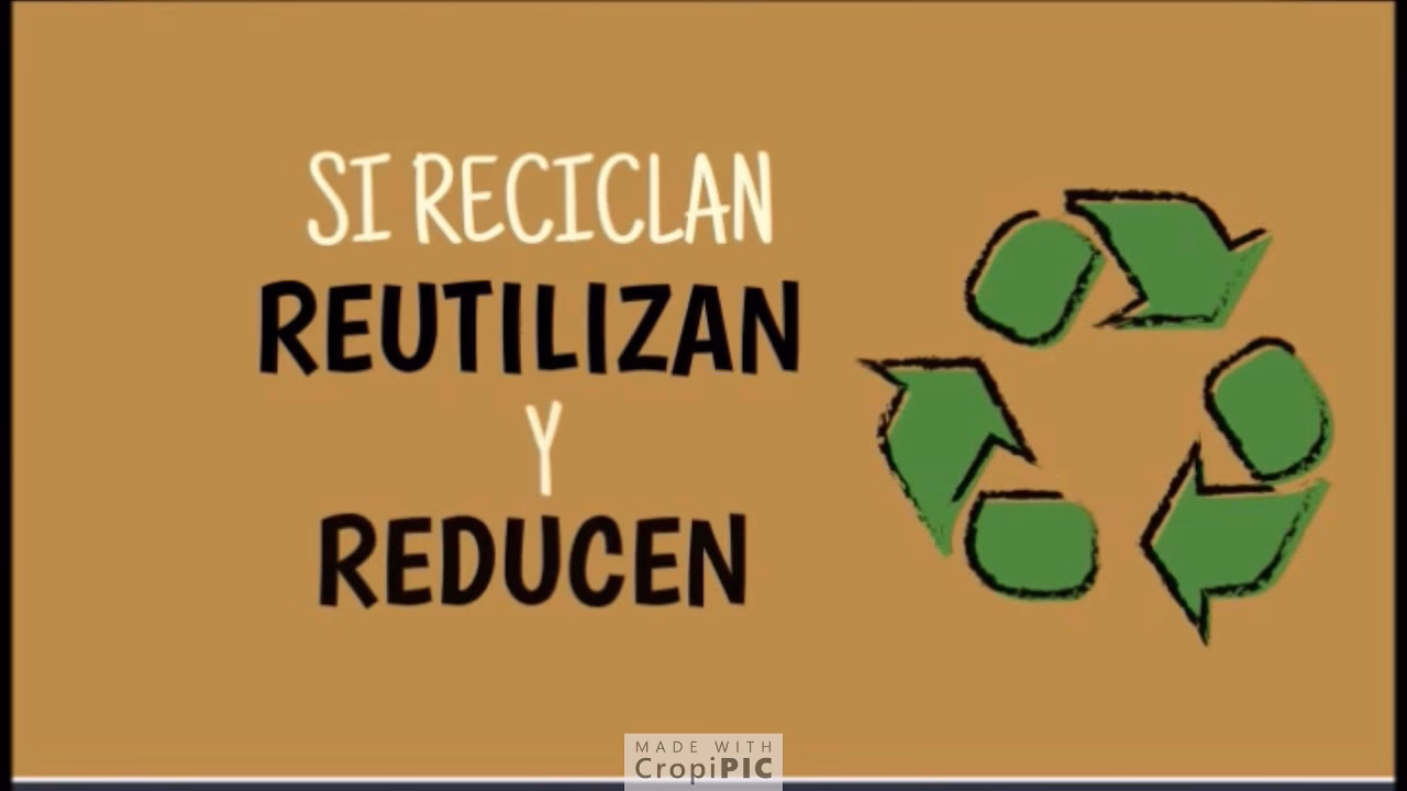 ¿Cuáles son las claves para que el medio ambiente pueda sentirse mejor?