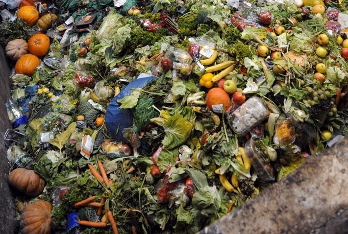 ¿Cómo afecta el desperdicio de alimentos al medio ambiente?