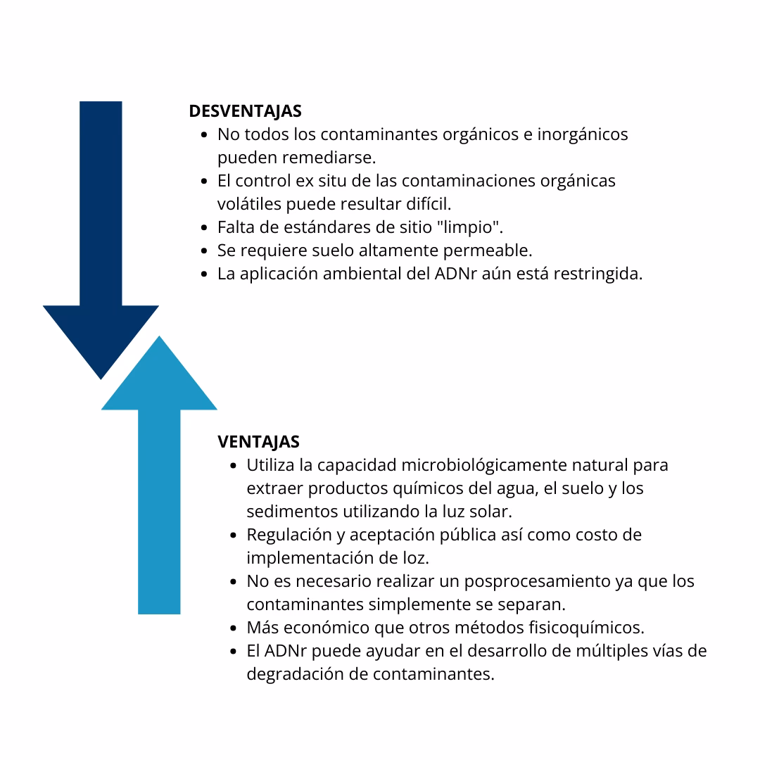 ¿Cómo afecta la ingeniería genética a la biodiversidad?