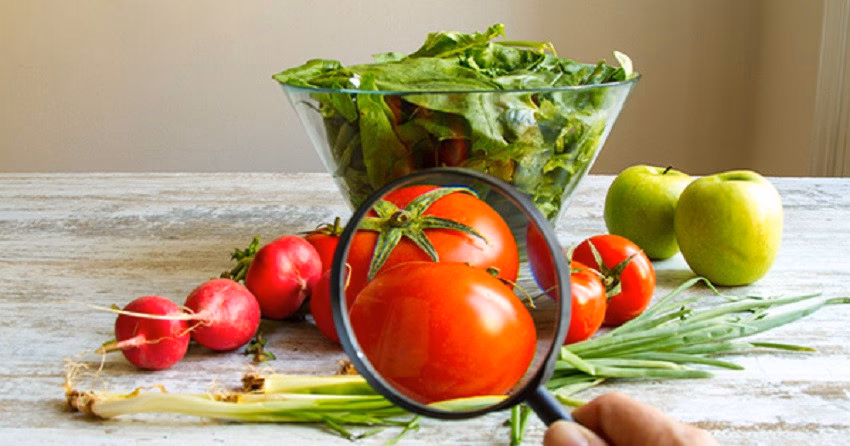 ¿Cuáles son las medidas que provocan contaminación de los alimentos?