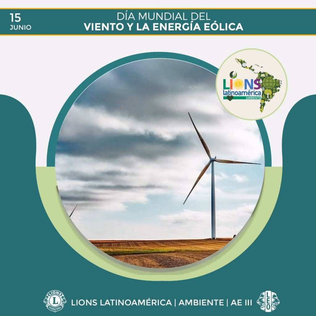 ¿Cuál es el potencial de la energía eólica en la Argentina?